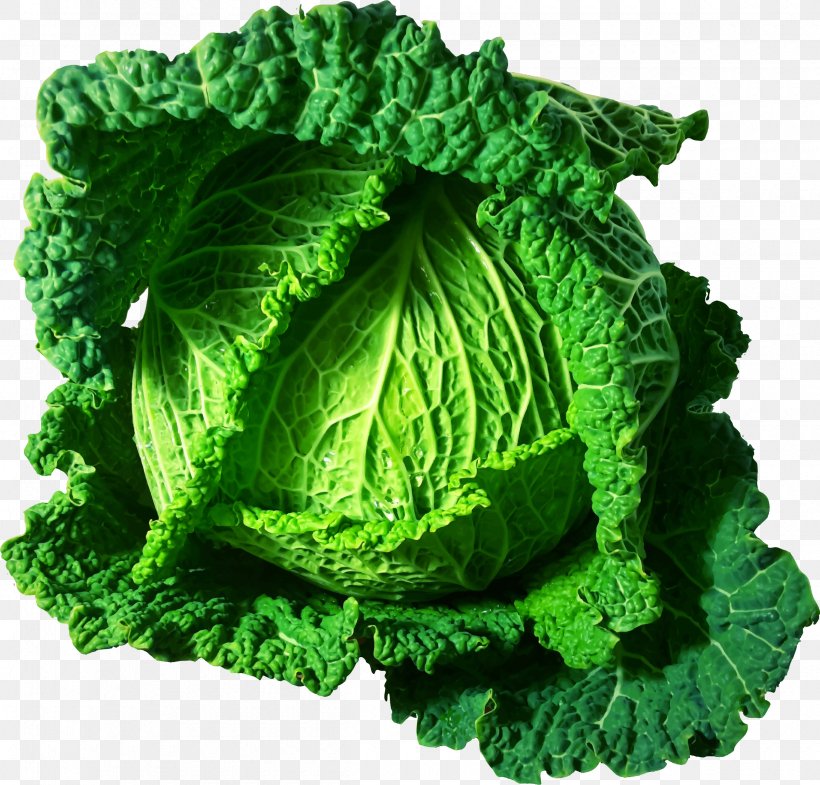 Cabbage Italian Cuisine Food Vegetable Health, PNG, 2400x2300px, Cabbage, Cabbage Soup Diet, Collard Greens, Diabetes Mellitus, Diabetic Diet Download Free