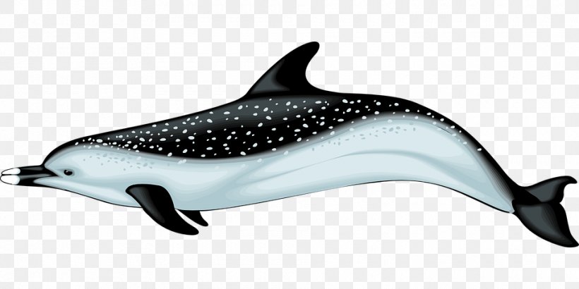 Common Bottlenose Dolphin Porpoise Clip Art, PNG, 960x480px, Dolphin, Bottlenose Dolphin, Common Bottlenose Dolphin, Fauna, Fin Download Free