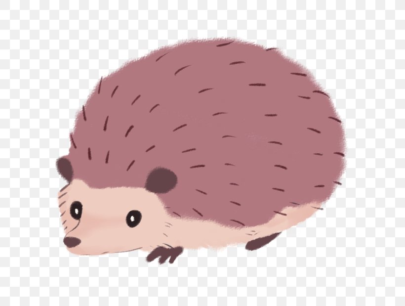 Hedgehog Desktop Wallpaper, PNG, 619x619px, Hedgehog, Animal, Dolphin, Drawing, Erinaceidae Download Free