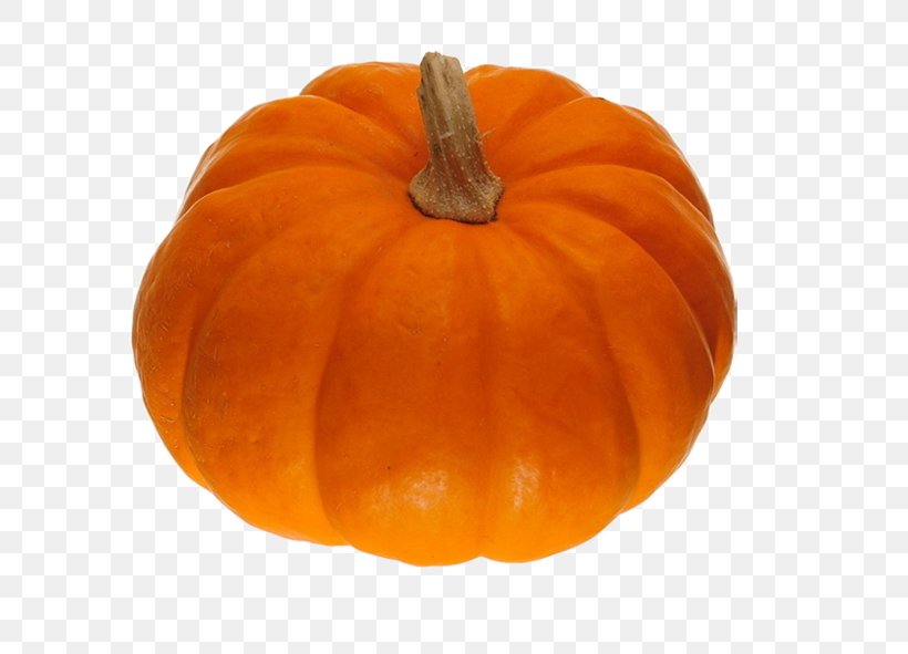 Jack-o-lantern Pumpkin Olan Vegetable Soup, PNG, 591x591px, Jackolantern, Calabaza, Carotene, Carving, Cooking Download Free