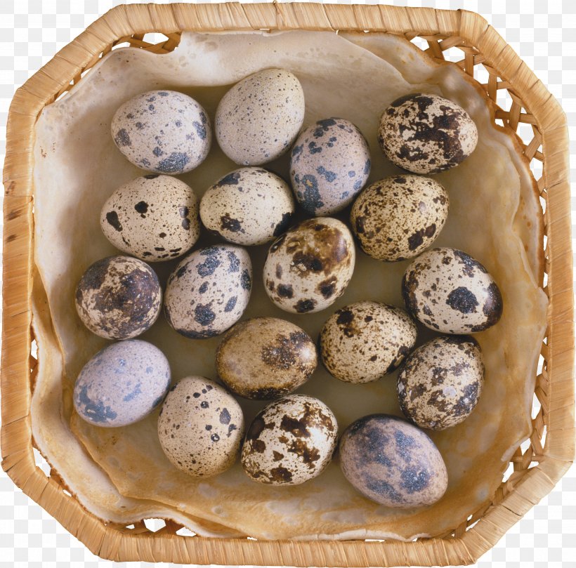 Quail Eggs Common Quail Food, PNG, 3721x3672px, Egg, Chicken Egg, Coddled Egg, Common Quail, Dish Download Free
