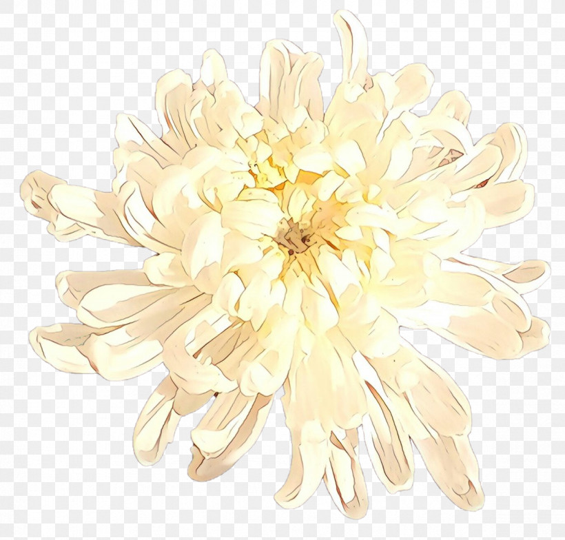 White Flower Plant Petal Yellow, PNG, 1176x1125px, White, Cut Flowers, Dahlia, Daisy Family, Flower Download Free