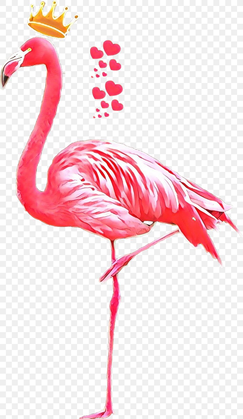 Bird Crane Beak Pink M, PNG, 818x1413px, Bird, Beak, Crane, Flamingo, Greater Flamingo Download Free