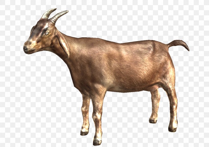 Goat Sheep Desktop Wallpaper Clip Art, PNG, 1200x844px, Goat, Bovid, Caprinae, Cattle Like Mammal, Cow Goat Family Download Free