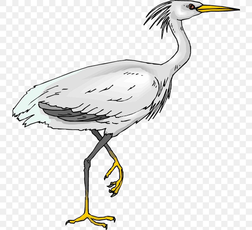 Green Heron Bird Egret Clip Art, PNG, 742x750px, Heron, Beak, Bird, Cattle Egret, Crane Download Free