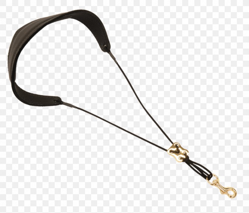 Leash Product Design Line, PNG, 900x771px, Leash, Fashion Accessory, Gilding Download Free