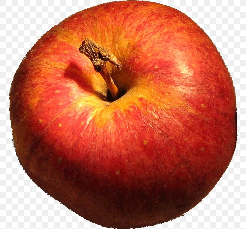 Apple Food, PNG, 764x762px, Apple, Food, Fruit, Information, Local Food Download Free