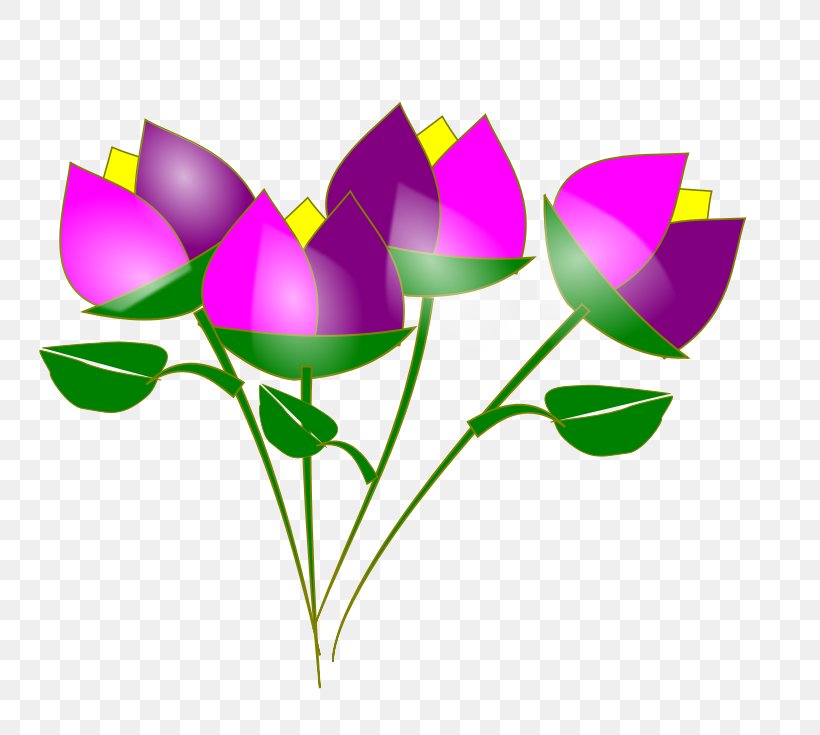 Flower Clip Art, PNG, 800x735px, Flower, Beauty, Blog, Drawing, Flora Download Free