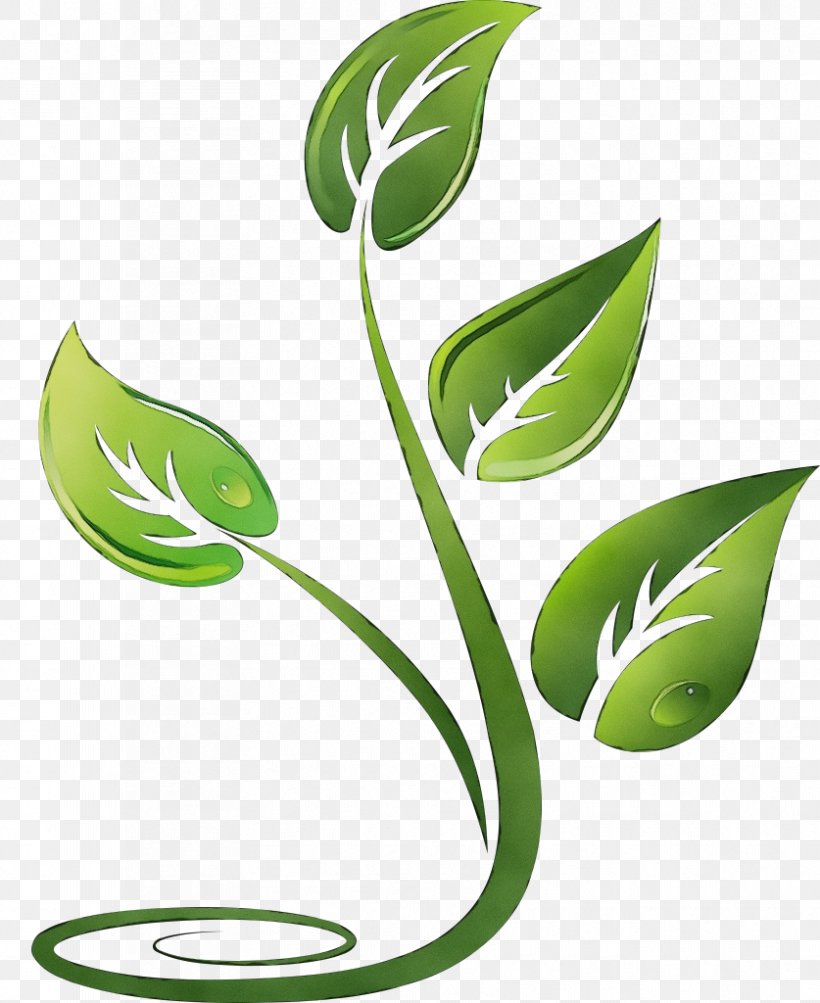 Leaf Green Plant Clip Art Grass, PNG, 837x1024px, Watercolor, Flower, Grass, Green, Leaf Download Free