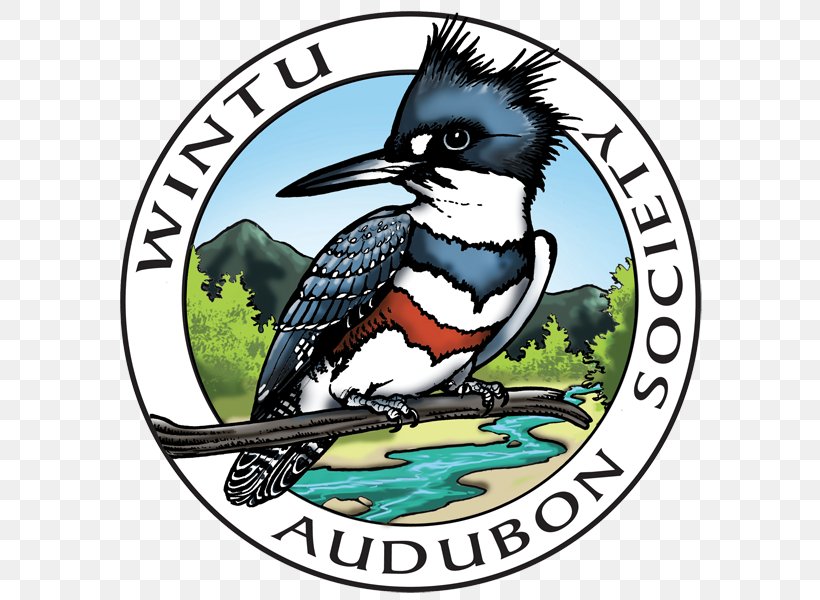 Plumas Audubon Society National Audubon Society Wintu Language Turtle Bay, PNG, 600x600px, National Audubon Society, Artwork, Audubon, Beak, Bird Download Free
