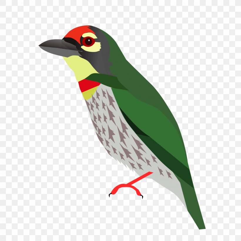 Beak Piciformes Animal, PNG, 1200x1200px, Beak, Animal, Bird, Fauna, Piciformes Download Free