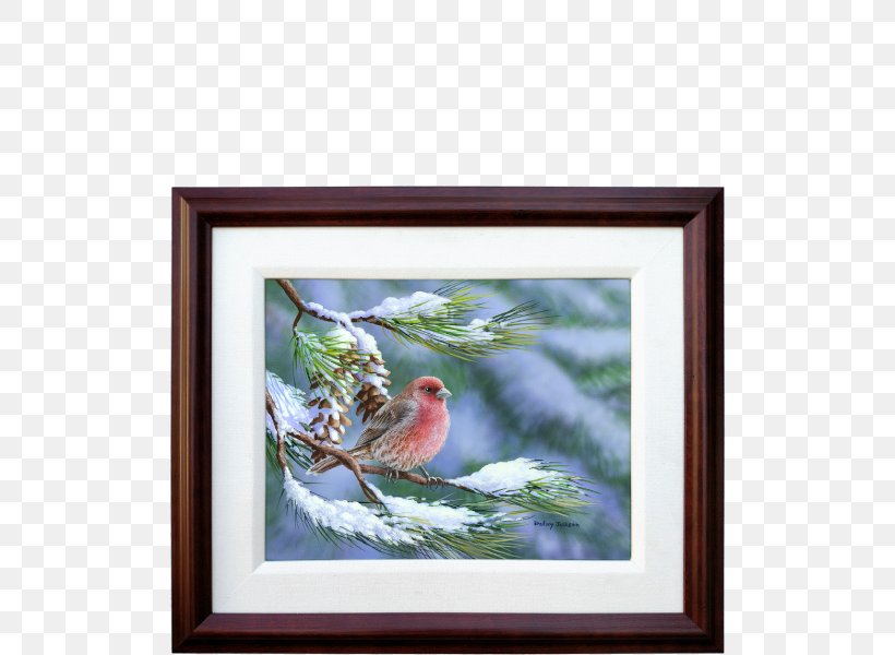 Bird Finches Winter Snow Cygnini, PNG, 600x600px, Bird, Animal, Art, Bird Nest, Branch Download Free