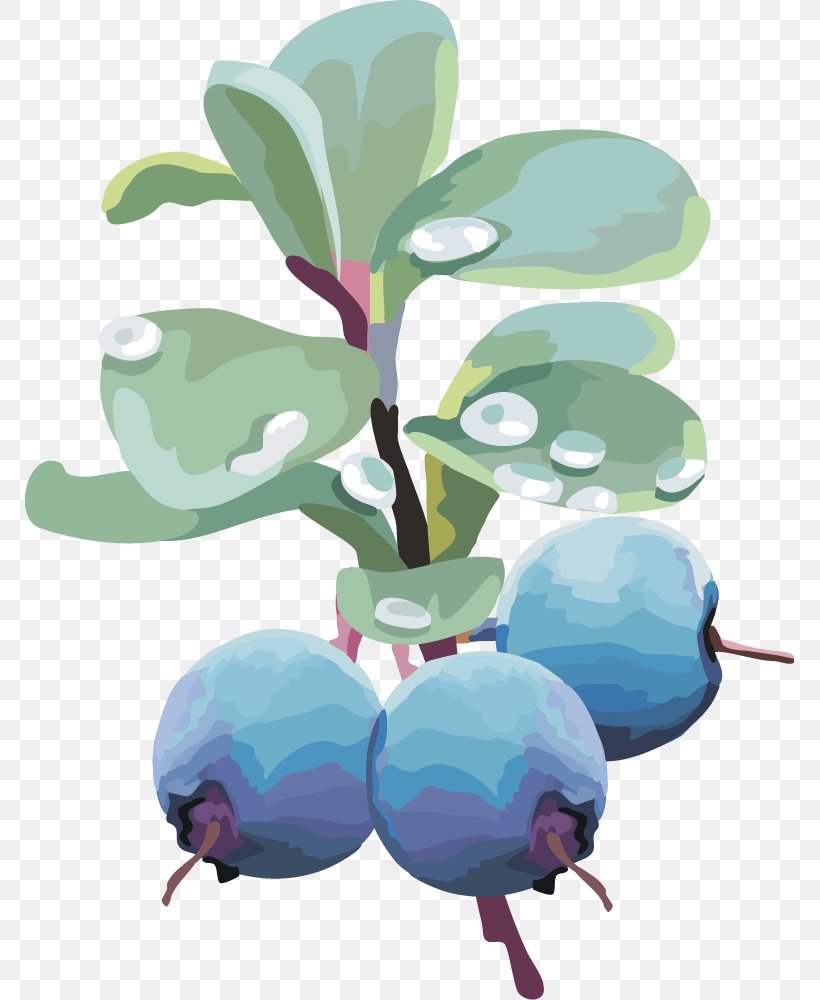 Blueberry Euclidean Vector Clip Art, PNG, 769x1000px, Berry, Art, Auglis, Blueberry, Branch Download Free