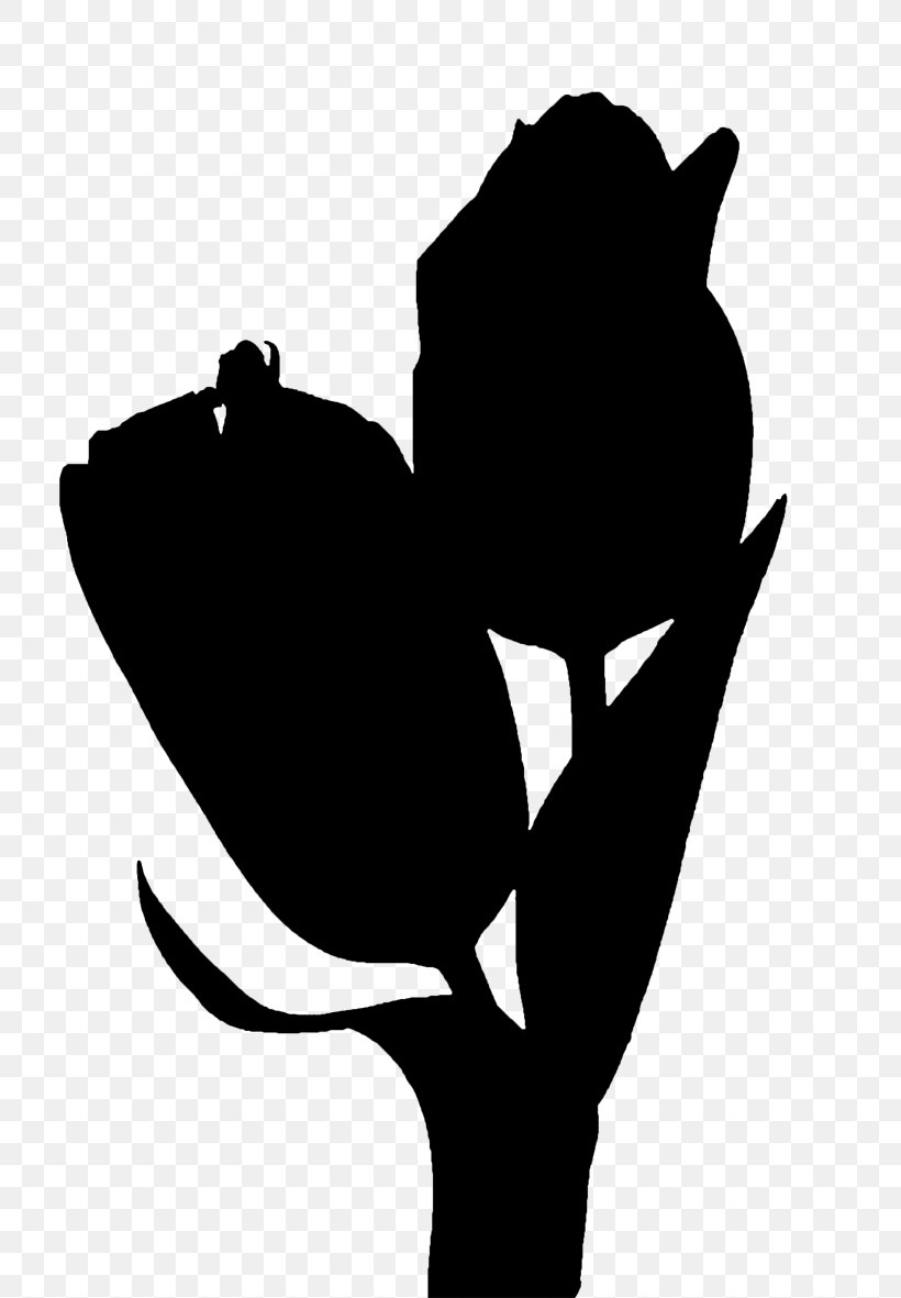 Clip Art Flowering Plant Silhouette Leaf, PNG, 800x1181px, Flower, Black M, Blackandwhite, Botany, Flowering Plant Download Free