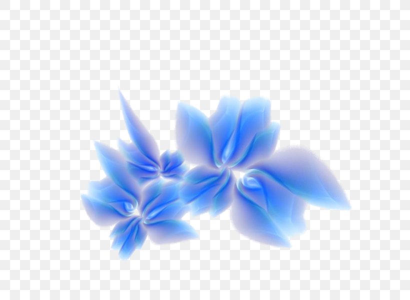 Flower Desktop Wallpaper Three-dimensional Space Display Resolution 4K Resolution, PNG, 800x600px, 4k Resolution, 5k Resolution, 8k Resolution, Flower, Blue Download Free