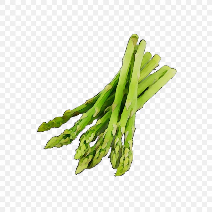 Asparagus Vegetarian Cuisine Greens Vegetable Green Bean, PNG, 1107x1107px, Asparagus, Choy Sum, Commodity, Flower, Flowering Plant Download Free