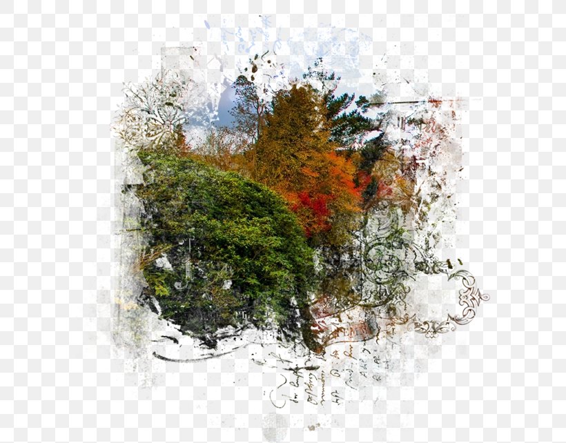 Digital Image, PNG, 600x642px, Digital Image, Autumn, Leaf, Nature, Paint Download Free