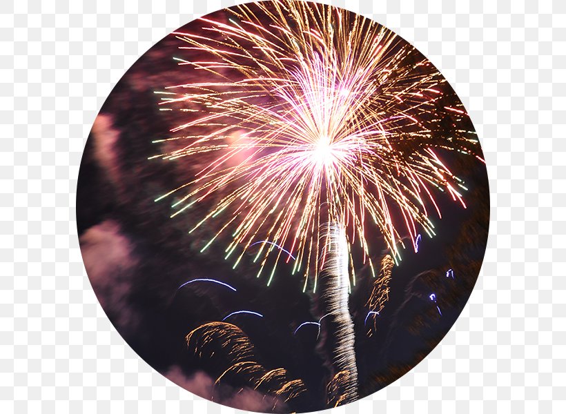 Fireworks Lake Winnepesaukah Mickey's Halloween Party New Year's Eve, PNG, 600x600px, Fireworks, Canada Day, Costume, Event, Explosive Material Download Free