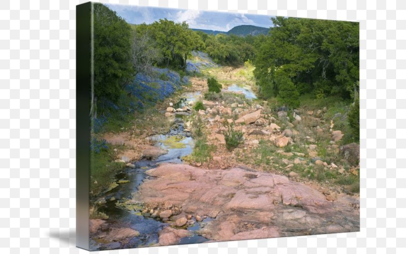 Hill Country State Natural Area Art Texas Hill Country Landscaping Imagekind, PNG, 650x513px, Art, Canvas, Geological Phenomenon, Geology, Imagekind Download Free