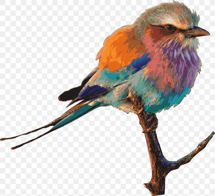 European Roller Lilac-breasted Roller Bird Clip Art, PNG, 1280x1166px, European Roller, Animal, Beak, Bird, Bluebird Download Free