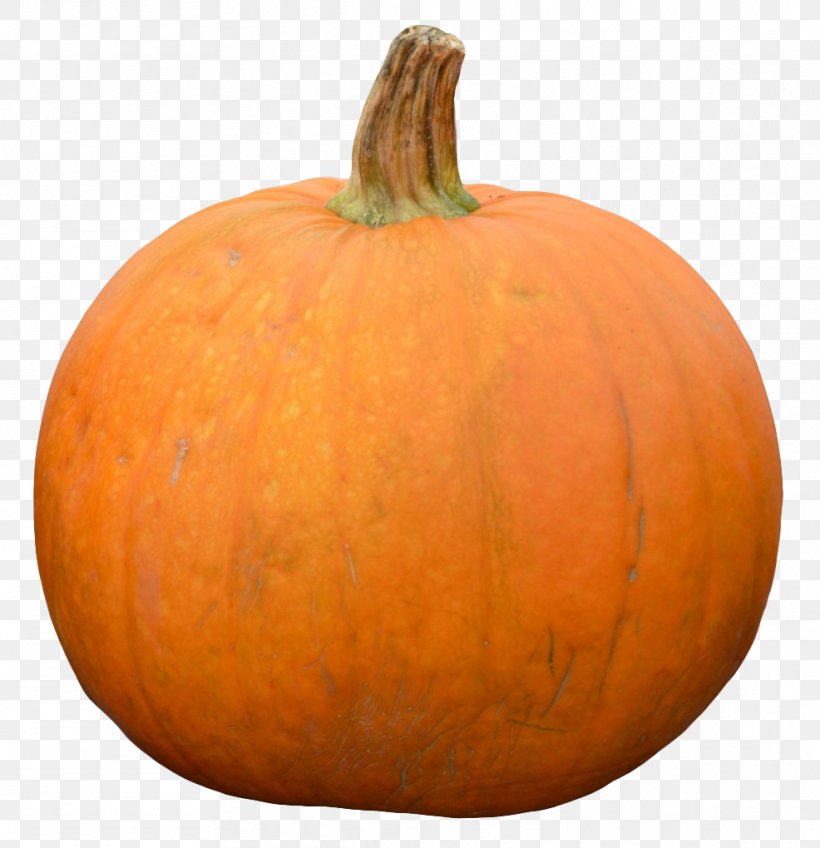 Jack-o-lantern Calabaza Gourd Winter Squash Orange, PNG, 986x1020px, Calabaza, Commodity, Cucumber, Cucumber Gourd And Melon Family, Cucurbita Download Free