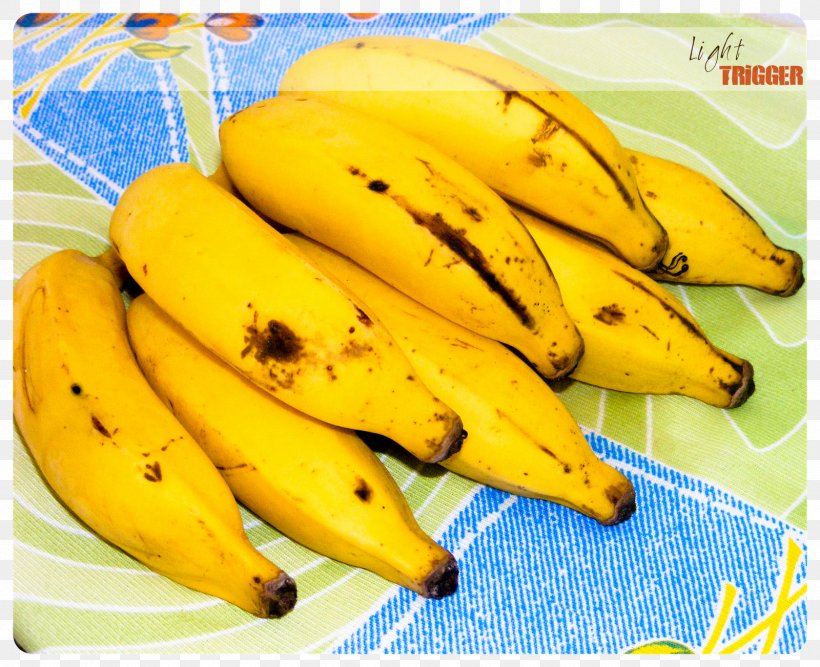 Saba Banana Cooking Banana Banaani, PNG, 1600x1303px, Saba Banana, Banaani, Banana, Banana Family, Cooking Download Free