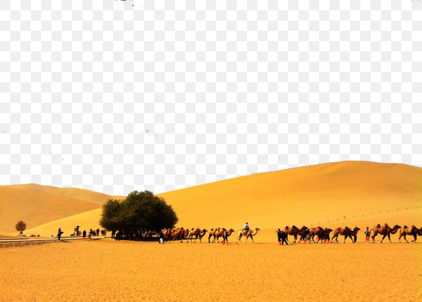 Sahara Erg Desert Singing Sand, PNG, 1024x735px, Sahara, Aeolian Landform, Artworks, Desert, Dune Download Free