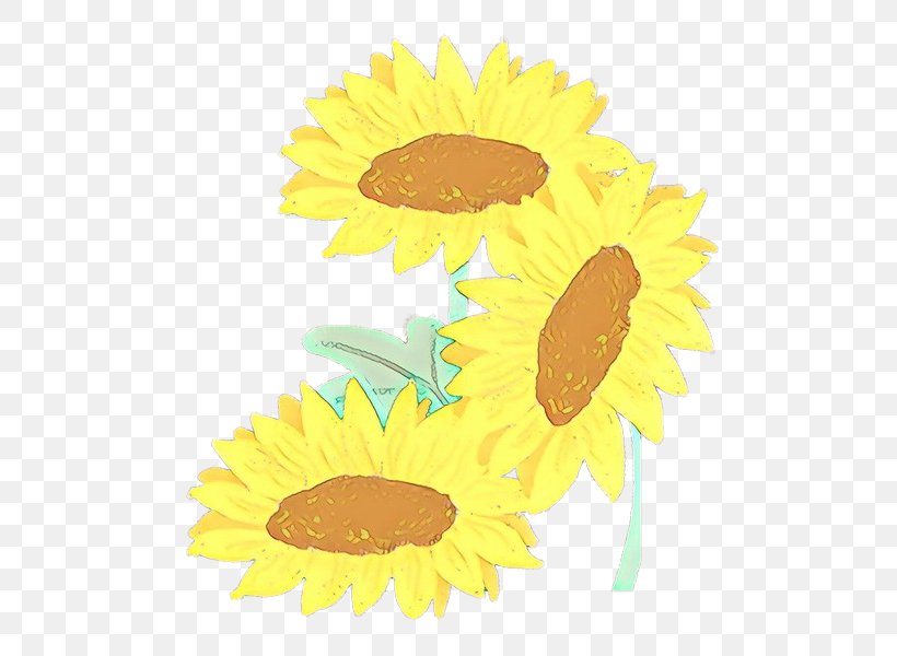 Sunflower, PNG, 600x600px, Cartoon, Asterales, Camomile, Daisy Family, Flower Download Free