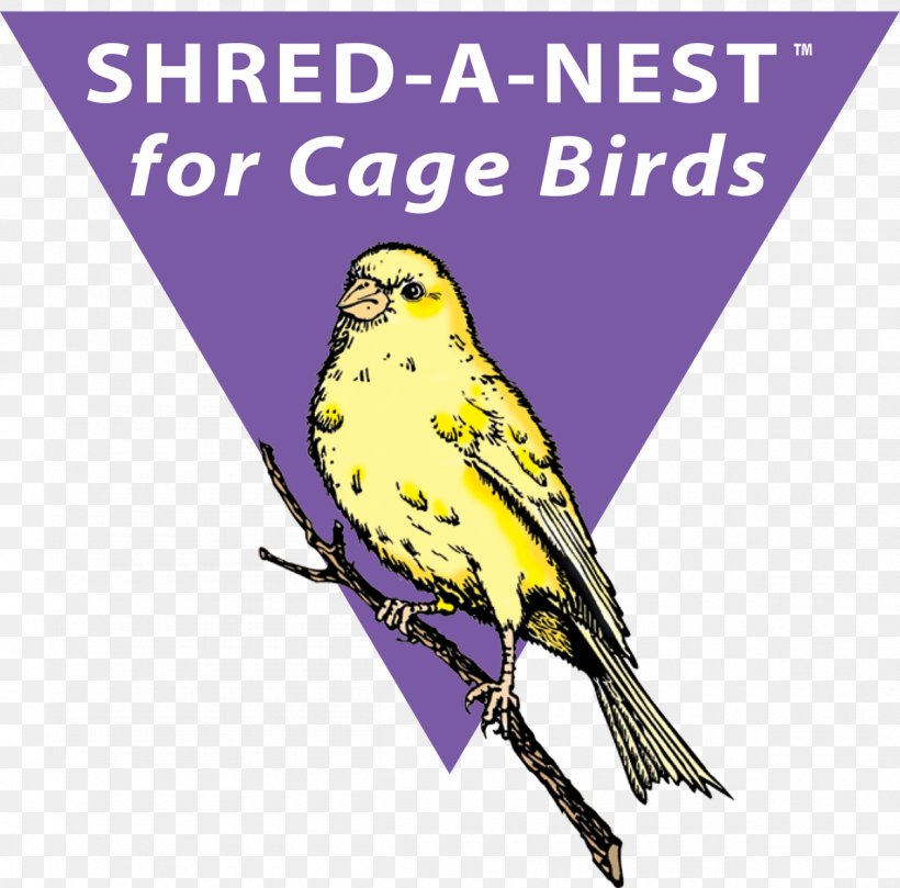 Finches Bird Nest The Sibley Guide To Birds Macaw, PNG, 1200x1185px, Finches, American Goldfinch, Beak, Bird, Bird Food Download Free