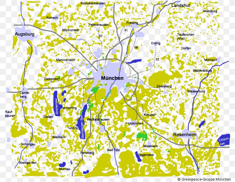 Line Point Map Tuberculosis Leaf, PNG, 800x634px, Point, Area, Branch, Branching, Flora Download Free