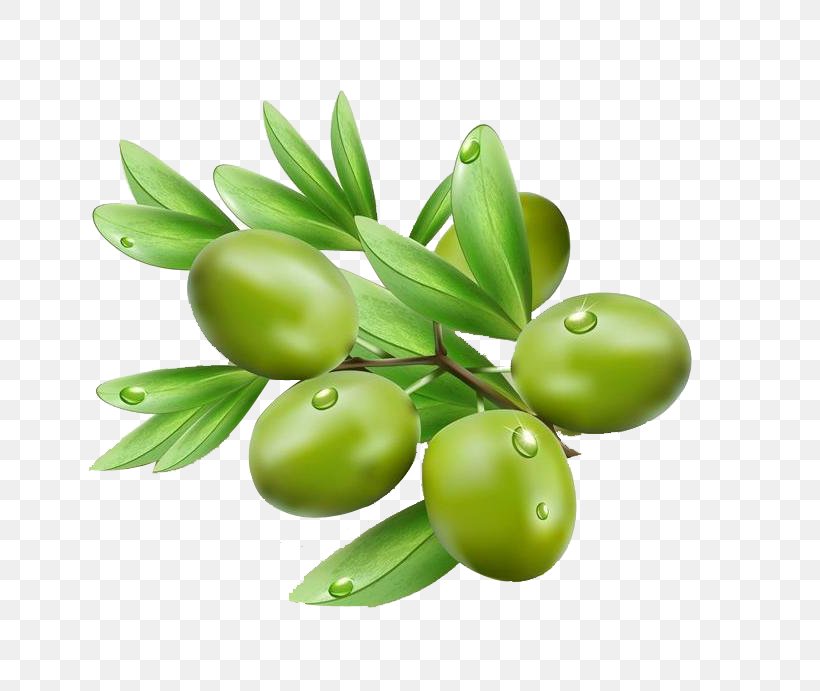 Olive Oil Olive Leaf Illustration, PNG, 740x691px, Olive, Food, Fruit, Olive Branch, Olive Leaf Download Free