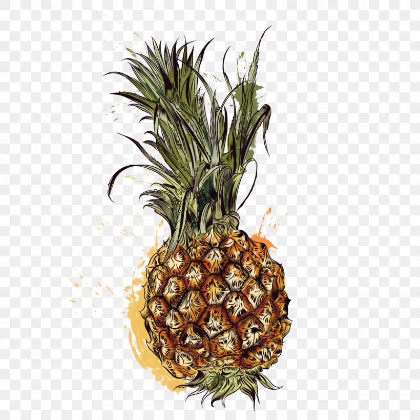 Pineapple Tropic Fruits, PNG, 1600x1600px, Pineapple, Ananas, Android, Auglis, Bromeliaceae Download Free