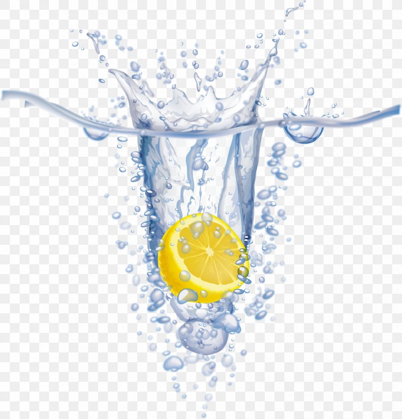 Water Lemon Euclidean Vector, PNG, 1752x1830px, Water, Drinkware, Fruit, Glass, Lemon Download Free