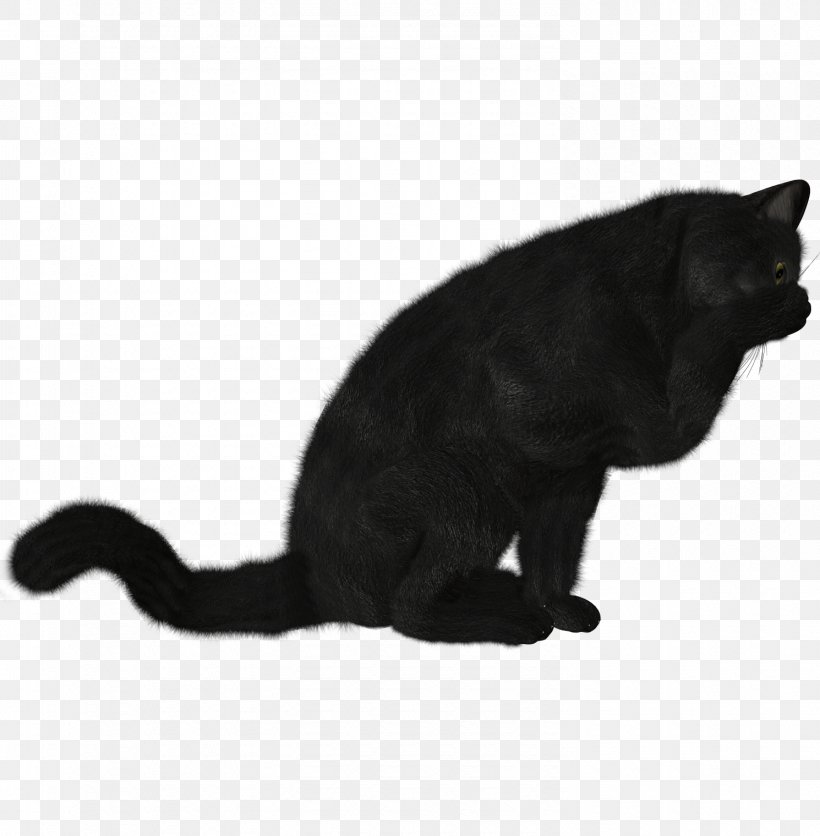 Cat Kitten, PNG, 1490x1520px, Bombay Cat, Animal, Black, Black And White, Black Cat Download Free