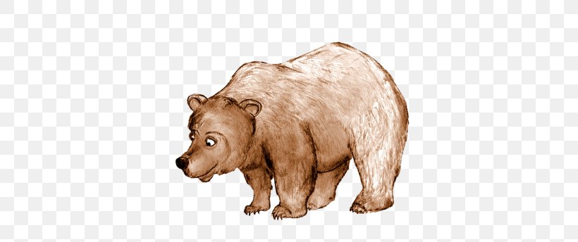 Brown bear Teddy bear Drawing, Cute brown bear material, animals,  carnivoran, happy Birthday Vector Images png | PNGWing