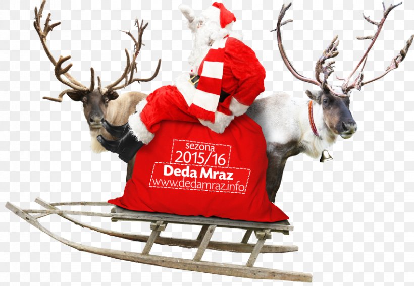 Reindeer Santa Claus Christmas Ornament Rudolph, PNG, 850x588px, Reindeer, Antler, Arrenslee, Christmas, Christmas Decoration Download Free