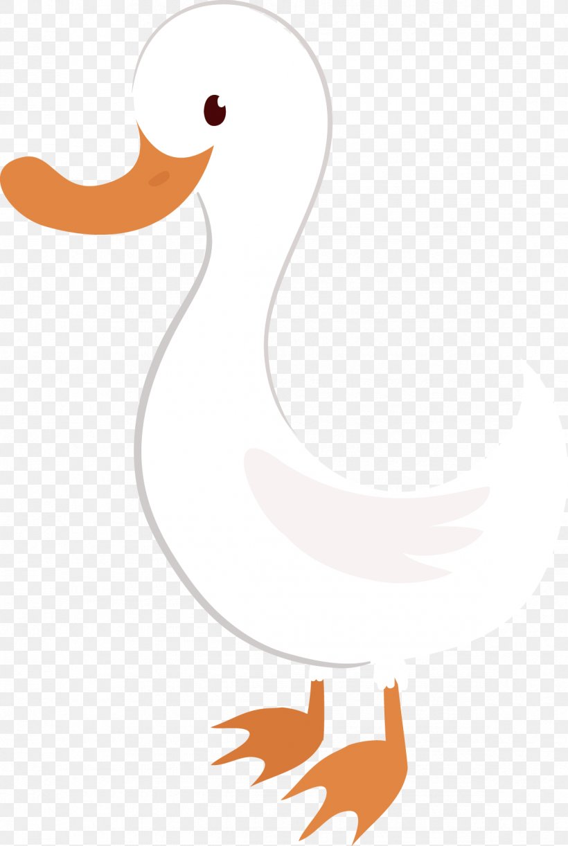 Duck American Pekin Cygnini Clip Art, PNG, 1185x1766px, Duck, American Pekin, Area, Beak, Bird Download Free