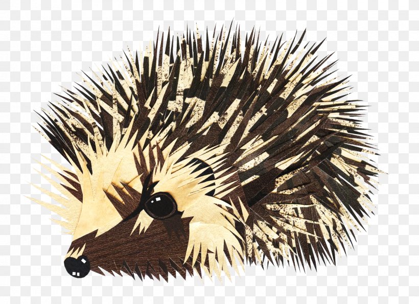 European Hedgehog Animal Drawing, PNG, 1600x1161px, Hedgehog, Animal, Art, Domesticated Hedgehog, Drawing Download Free