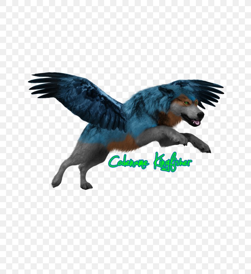 Feather Fauna Beak Tail, PNG, 650x895px, Feather, Beak, Bird, Fauna, Organism Download Free