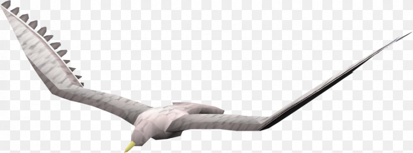 Gulls Bird, PNG, 901x336px, Gulls, Animal, Bird, Display Resolution, Hardware Accessory Download Free