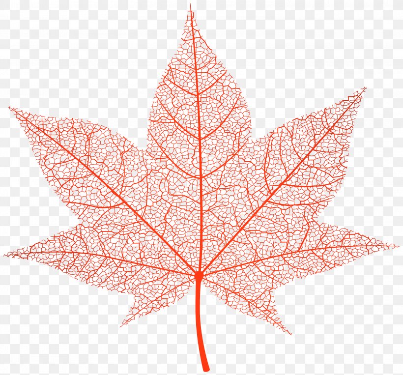 Maple Leaf, PNG, 3000x2794px, Leaf, Black Maple, Flowering Plant, Maple Leaf, Plane Download Free