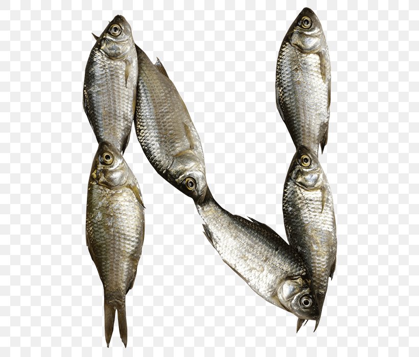 Sardine Letterform Fish Font, PNG, 700x700px, Sardine, Alphabet, Animal Source Foods, Character, Fish Download Free