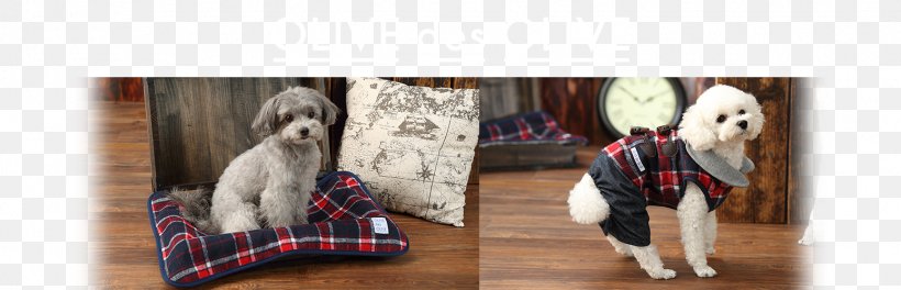 Dog Shoe Tartan Bridle Rein, PNG, 1549x500px, Dog, Bridle, Clothing, Dog Clothes, Dog Like Mammal Download Free