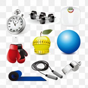 Sports Equipment - Exercise Equipment Physical Exercise Dumbbell Clip Art PNG