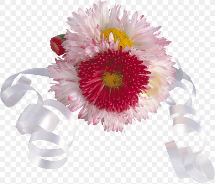 Festival Of The Flowers South Korea Floral Design, PNG, 1200x1032px, Festival Of The Flowers, Chrysanths, Cut Flowers, Daisy, Daisy Family Download Free