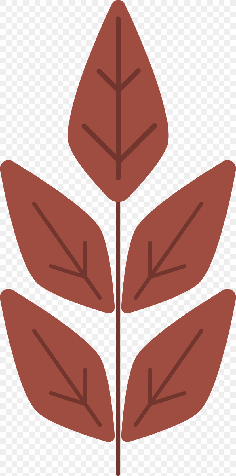 Leaf Flower Pattern Symmetry Angle, PNG, 1489x3000px, Leaf, Angle, Biology, Flower, Mtree Download Free
