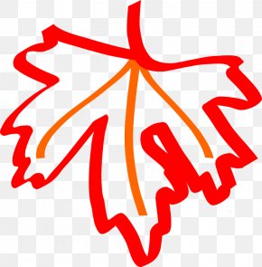 Fig Vector - Maple Leaf Autumn Leaf Color Clip Art PNG