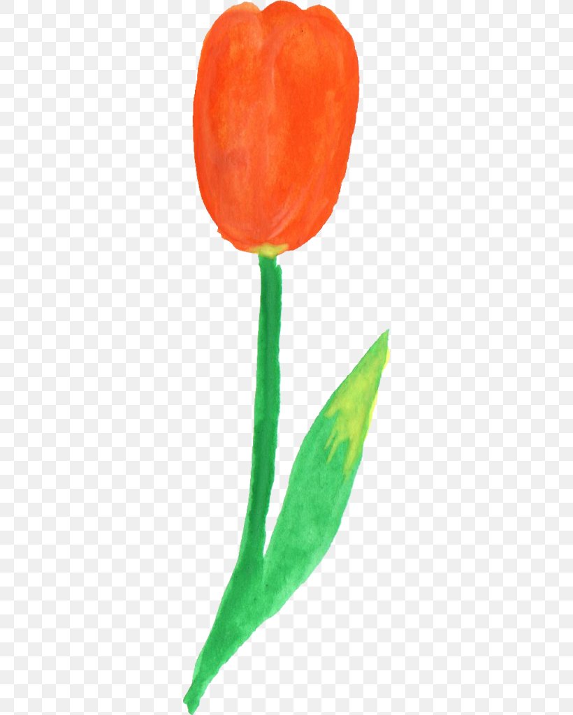 Tulip Plant Stem, PNG, 296x1024px, Tulip, Com, Display Resolution, Flower, Flowering Plant Download Free