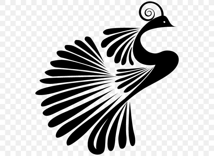 Bird Clip Art, PNG, 600x600px, Bird, Art, Beak, Black And White, Drawing Download Free