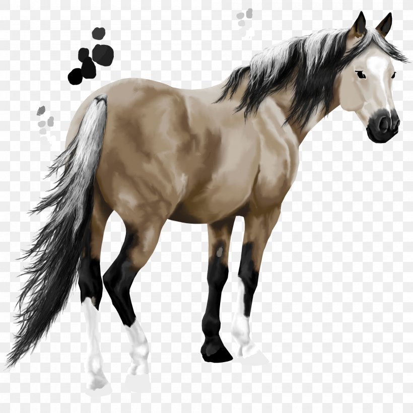Mane Mustang Stallion Pony American Paint Horse, PNG, 2000x2000px, Mane, American Paint Horse, Bridle, Colt, Equestrian Download Free